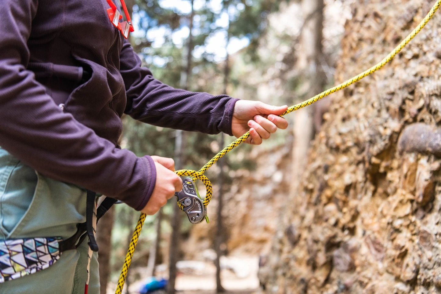 Beal BIRDIE Assisted Belay - RopesGear.com